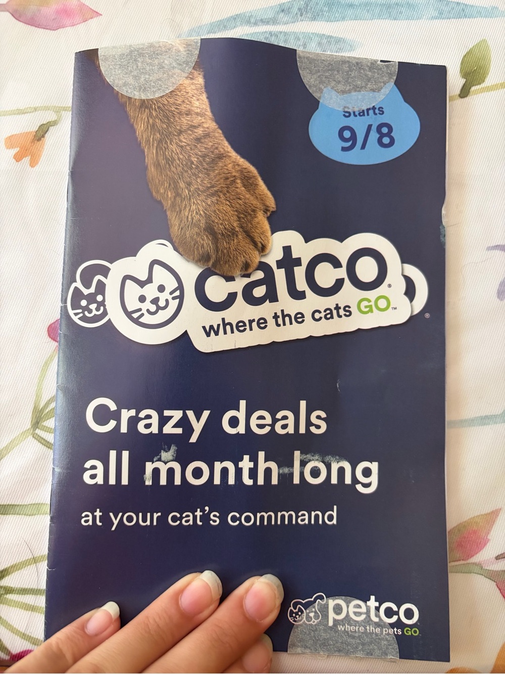 Petco Catco Promotional Flyer w Coupons